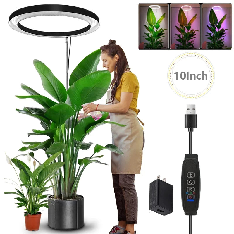 165cm Full-Spectrum LED Grow Light for Indoor Plants