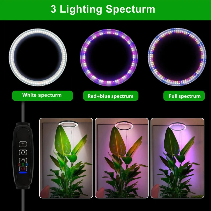 165cm Full-Spectrum LED Grow Light for Indoor Plants