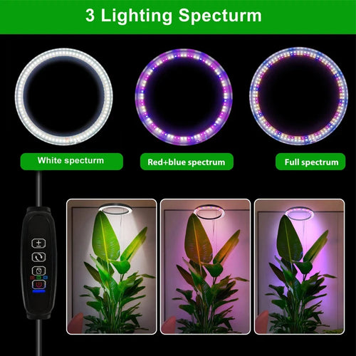 165cm Full-Spectrum LED Grow Light for Indoor Plants