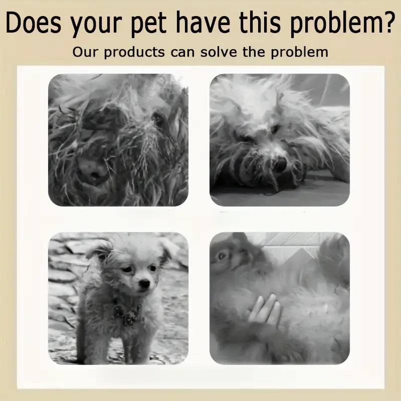 Gentle Deodorizing Pet Shampoo – Soft Coat Formula for Dogs & Cats