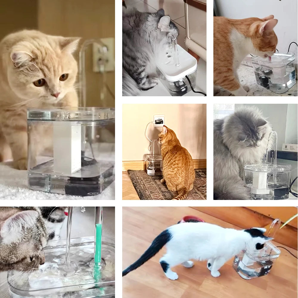 PurePaws Filtered Pet Water Fountain
