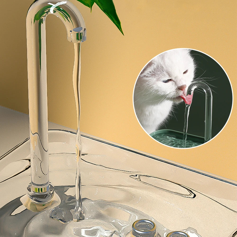 PurePaws Filtered Pet Water Fountain
