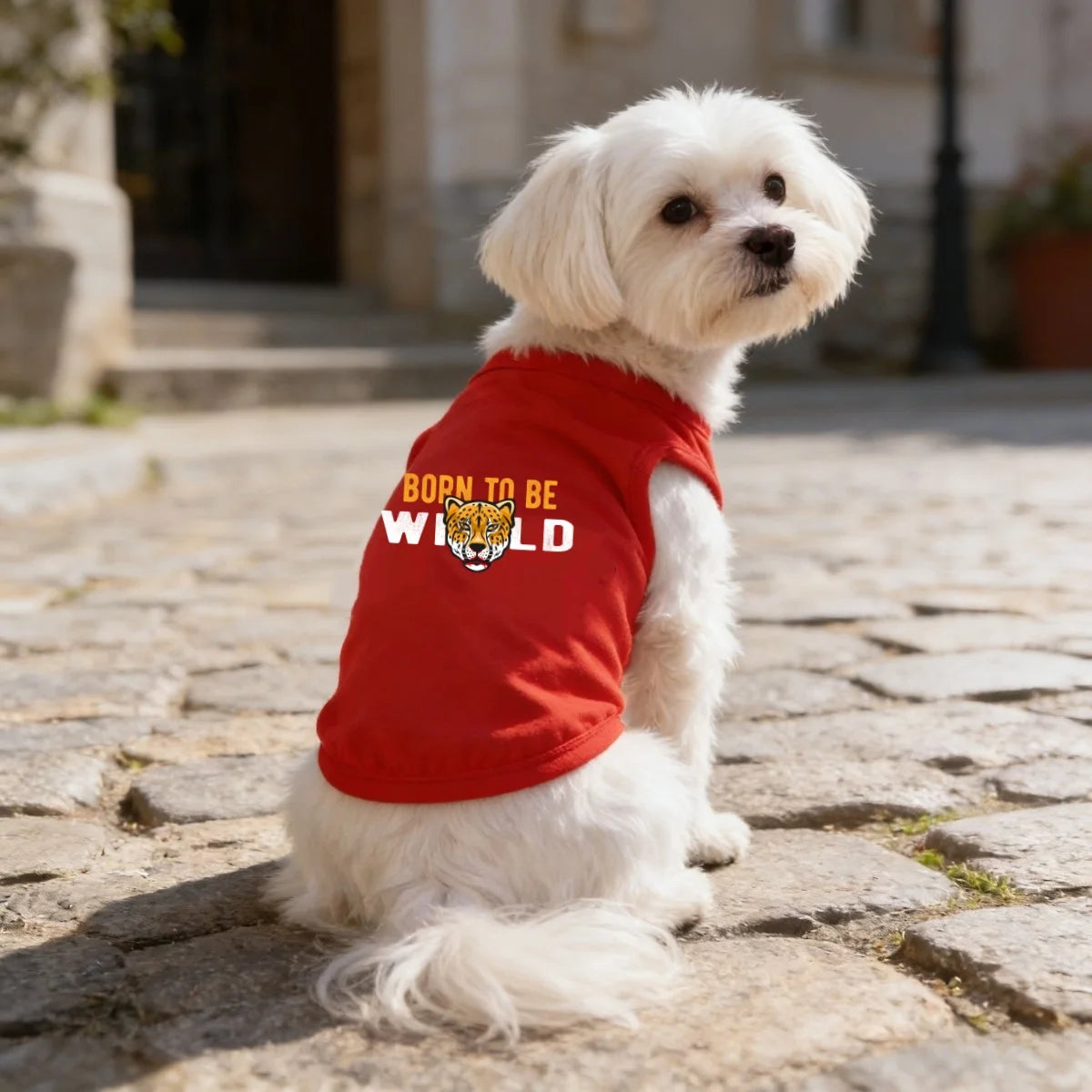 Printed Pet T-Shirt – Soft Breathable Tee for Dogs