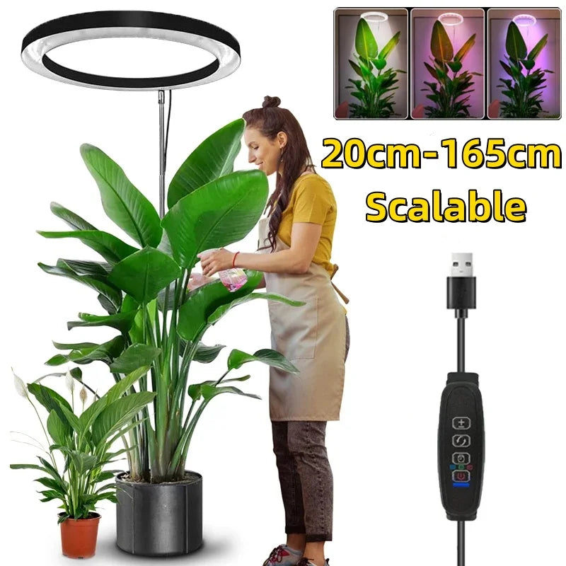 165cm Full-Spectrum LED Grow Light for Indoor Plants