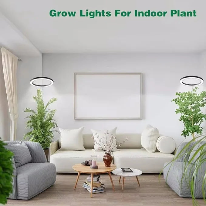 165cm Full-Spectrum LED Grow Light for Indoor Plants