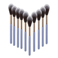 Professional Blush & Highlight Brush Set