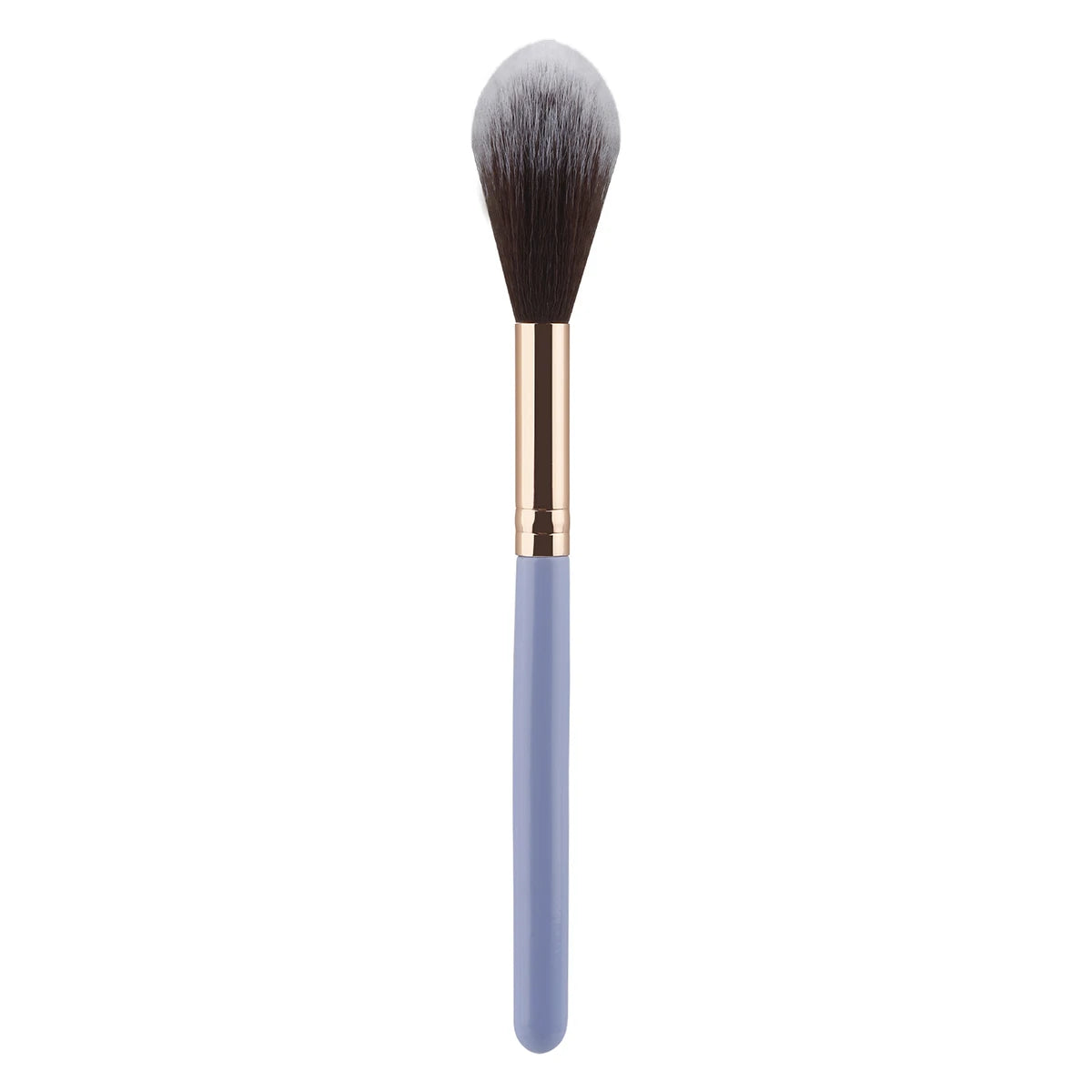 Professional Blush & Highlight Brush Set